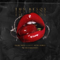 Tus besos - Single - Daniel Muné, Alexis Chaires & Dj Rodven
