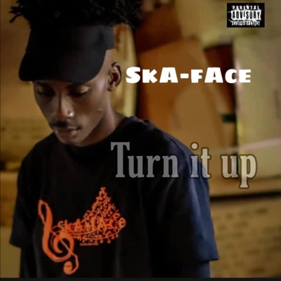 Turn It Up - Single