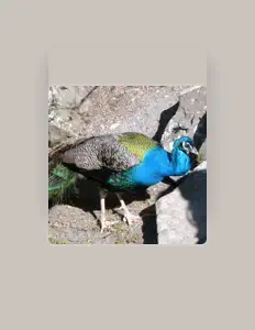 Listen to JDO Music, watch music videos, read bio, see tour dates & more!