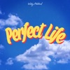 Perfect Life - Single