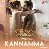Kannamma (From "Ispade Rajavum Idhaya Raniyum")