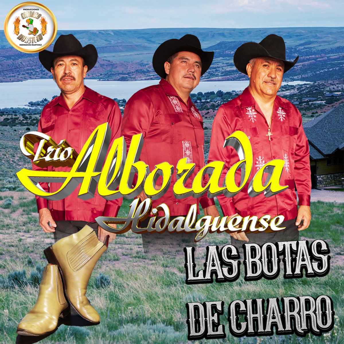 Las Botas de Charro - Single by Trio Alborada Hidalguense on Apple Music