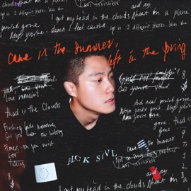 Came In the Summer, Left In the Spring DEREK DALI