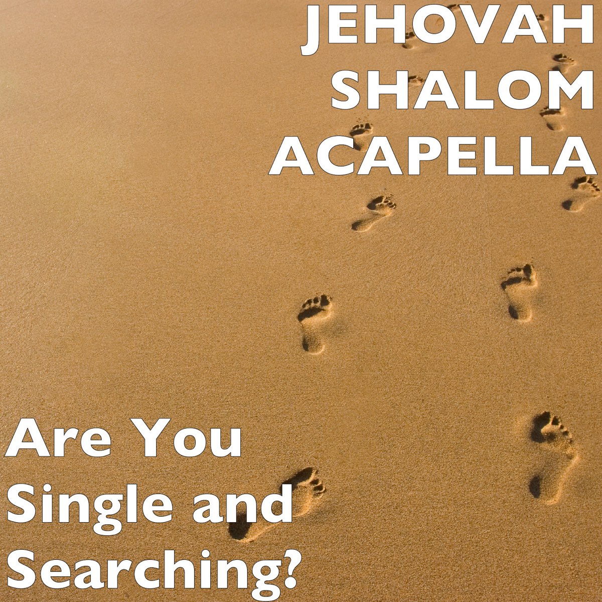 IN SEARCH OF SHALOM