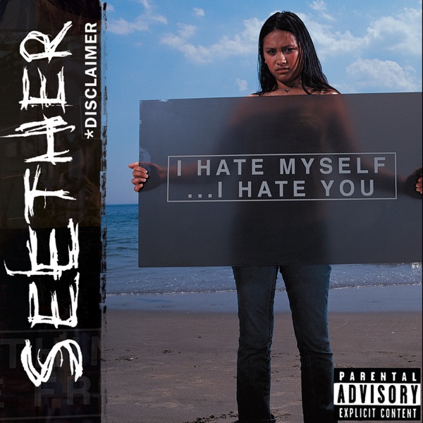 Disclaimer - Seether