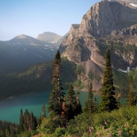 Shokata - Single - S-ilo