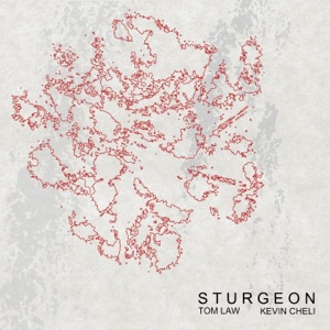 Sturgeon