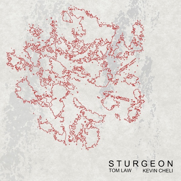Sturgeon