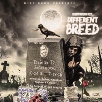 Gang - Single - Choppawood Rose