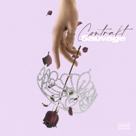 Sauvage Contrakt