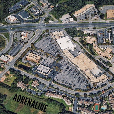 Adrenaline (feat. Lyricks) - Single