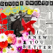 Divine Sweater - I Knew You Better