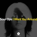 I Want You Around