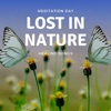 Lost in Nature - Healing Songs