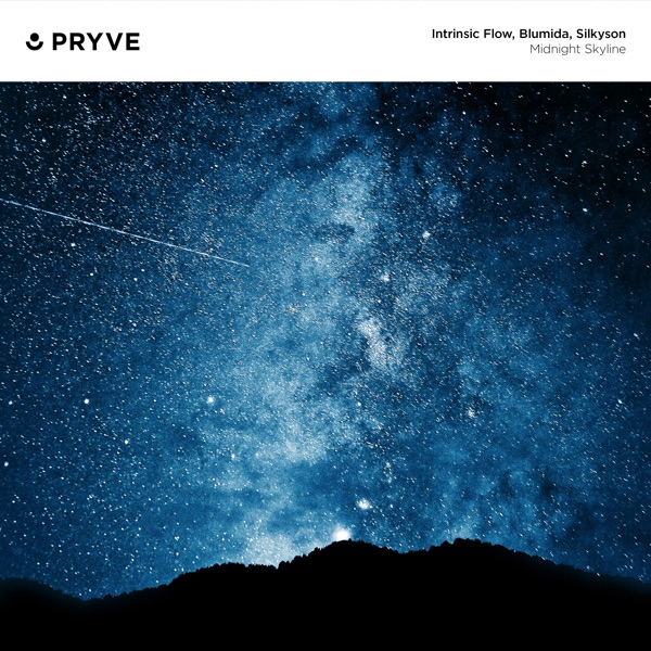 Midnight Skyline - EP