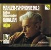 Mahler: Symphony No. 9 (Live Recording)