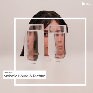 Melodic House & Techno (DJ Mix)