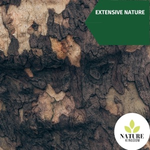 Extensive Nature