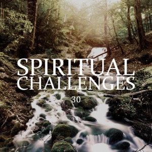 Spiritual Challenges: 30 Daily Meditations for Spiritual Development