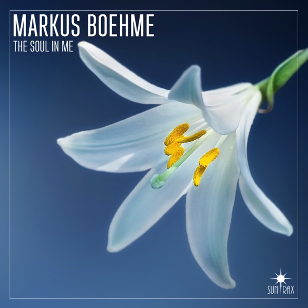 The Soul in Me - Single