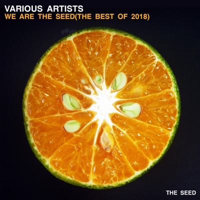 We Are the Seed (The best Of 2018)