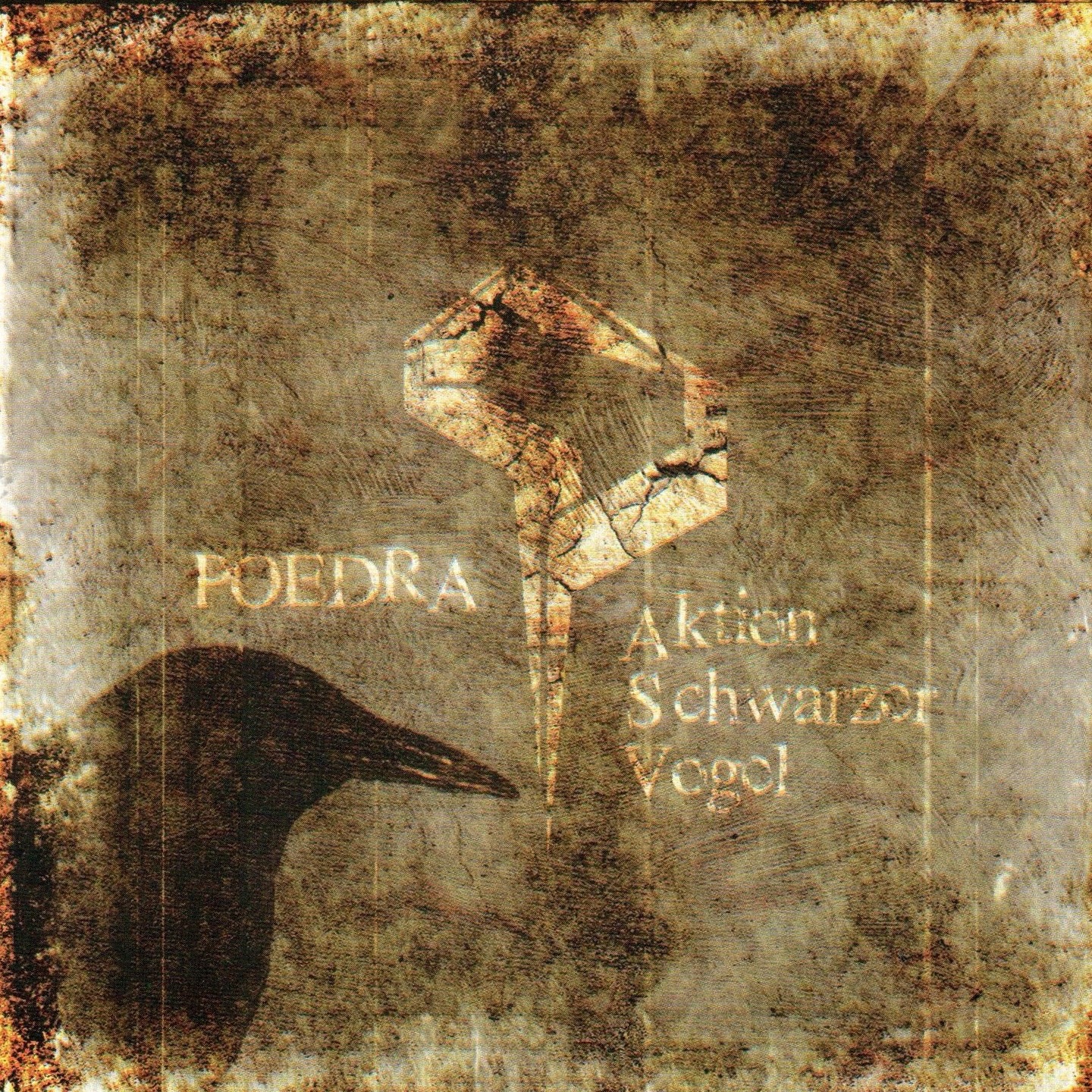 Aktien Schwarzer Vogel