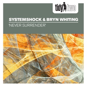 Never Surrender - Single