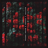 Todo Vale - Single - Frank Rous, Zecca & Valyum