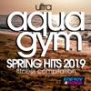 Ultra Aqua Gym Spring Hits 2019 Fitness Compilation (15 Tracks Non-Stop Mixed Compilation for Fitness & Workout 128 Bpm / 32 Count)