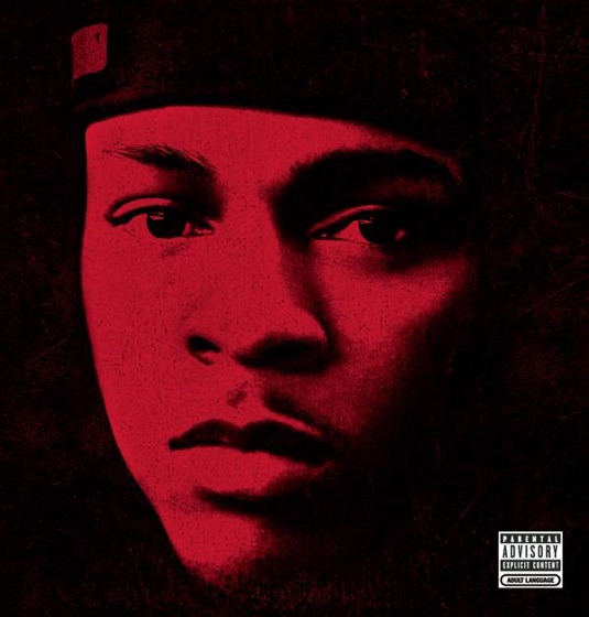 Cover artwork for Shake It (feat. Swizz Beatz)