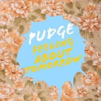 Feeling About Tomorrow - Single - Pudge
