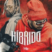 Híbrido artwork