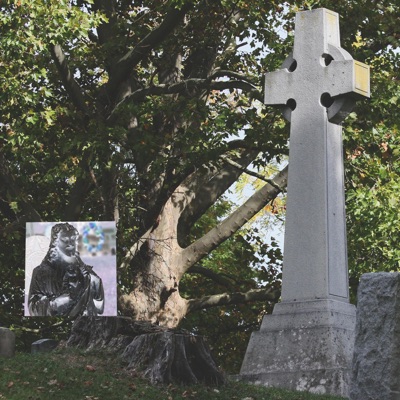 Bones Inside My Backyard - Single