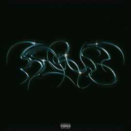 Drillas / You asskisser MLG