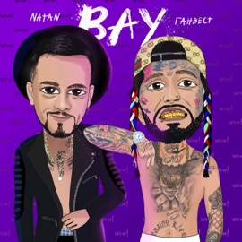 ВАУ Natan & Ганвест