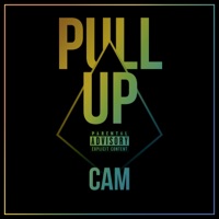 Pull Up - Single - Cam