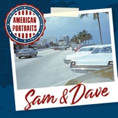 American Portraits: Sam & Dave artwork