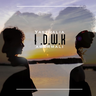 I.D.W.K. (feat. Amormali) - Single
