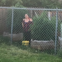 Wholelottaga$ - Single - Marika Sage