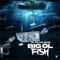 Big Ol Fish - THE REAL YUNG HONCHO lyrics