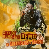 Stylo G - Dumpling (feat. Sean Paul & Spice) [Remix]