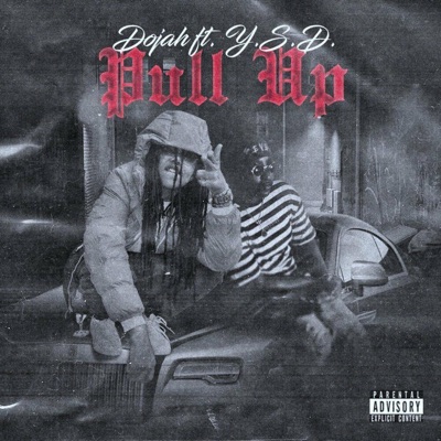 Pull Up (feat. Y.S.D.) - Single