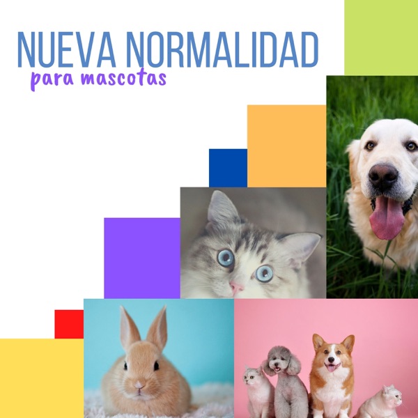 Nueva Normalidad para Mascotas - Música Relajante Antiestrés para Animales