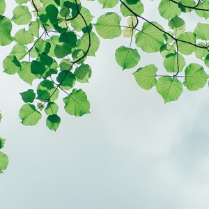 Soft Complete Relaxation and Ultimate Healing