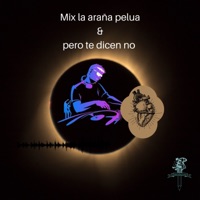 La Araña Pelua & Pero Te Dicen No (Mix) [Remix] - Single - Dembouw & DJ NILSON EN EL BEAT