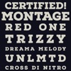 Montage (feat. Red One, Trizzy, Dreama Melody, Unlmtd & Cross Di Nitro) - EP