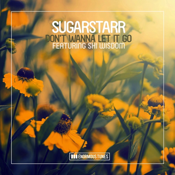 Don't Wanna Let It Go (feat. Shi Wisdom) - Single
