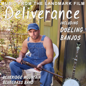 Dueling Banjos - Blueridge Mountain Bluegrass Band Cover Art