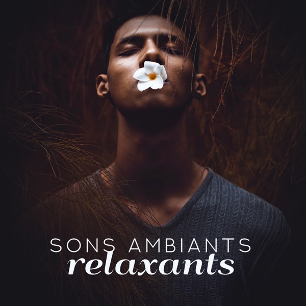 Sons ambiants relaxants: Puissance intérieure, Sommeil profond, Guérison, Musique instrumentale, Relaxation, Repos, Soulagement du stress