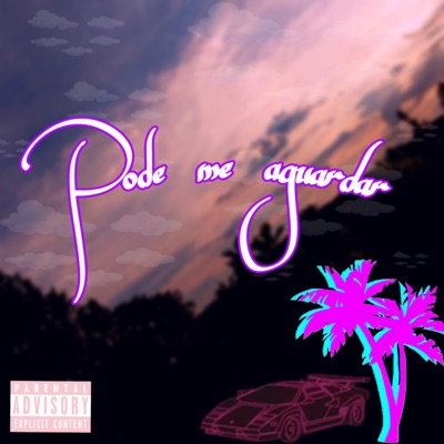 Pode Me Aguardar - Single